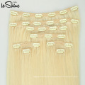 80g 100g 120g 160g 220g Remy Clip In Hair Extension,